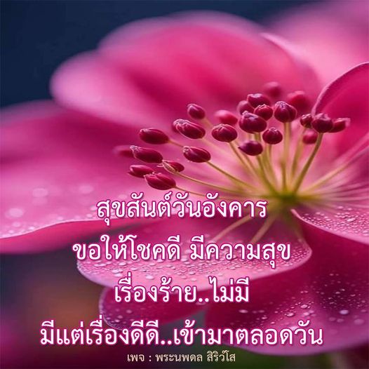 สุขสันต์วันอังคาร! ขอให้ทุกคนมีโชคดีและความสุขตลอดทั้งวัน ไม่มีเรื่องร้าย มีแต่เรื่องดีดีเข้ามาในชีวิต เชิญติดตามเพจ พระนพดล สิริวํโส เพื่อรับแรงบันดาลใจและความสุขในทุกๆ วัน