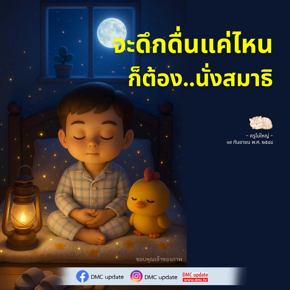 ภาพ No.16805:ทั่วไป
