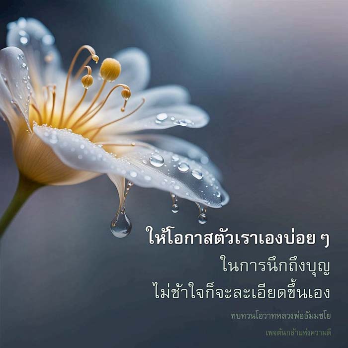 ค้นพบวิธีการนึกถึงบุญเพื่อเสริมสร้างจิตใจที่ดีขึ้น ผ่านการทบทวนโอวาทจากหลวงพ่อธัมมชโย และเข้าร่วมกับเพจต้นกล้าแห่งความดี เพื่อสร้างสรรค์ชีวิตที่มีคุณค่า