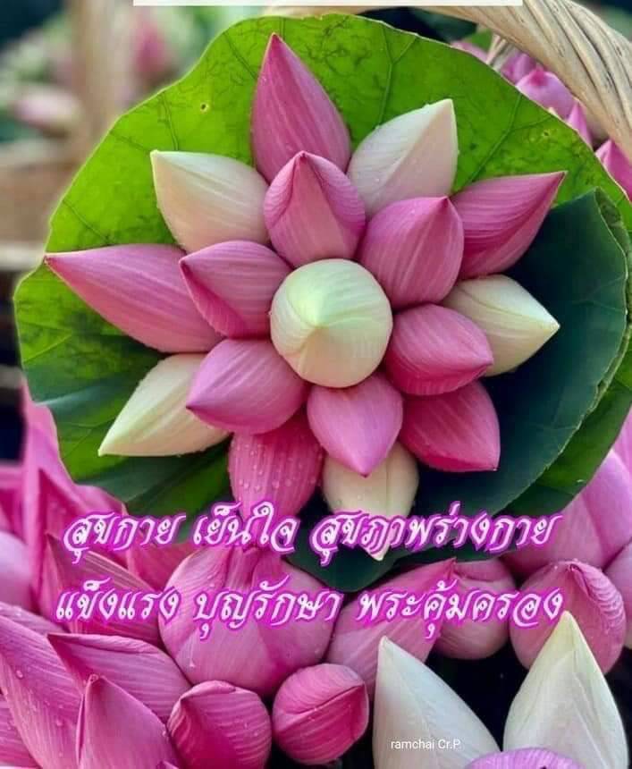 การ์ดคำสอนในพระพุทธศาสนา ทั่วไป