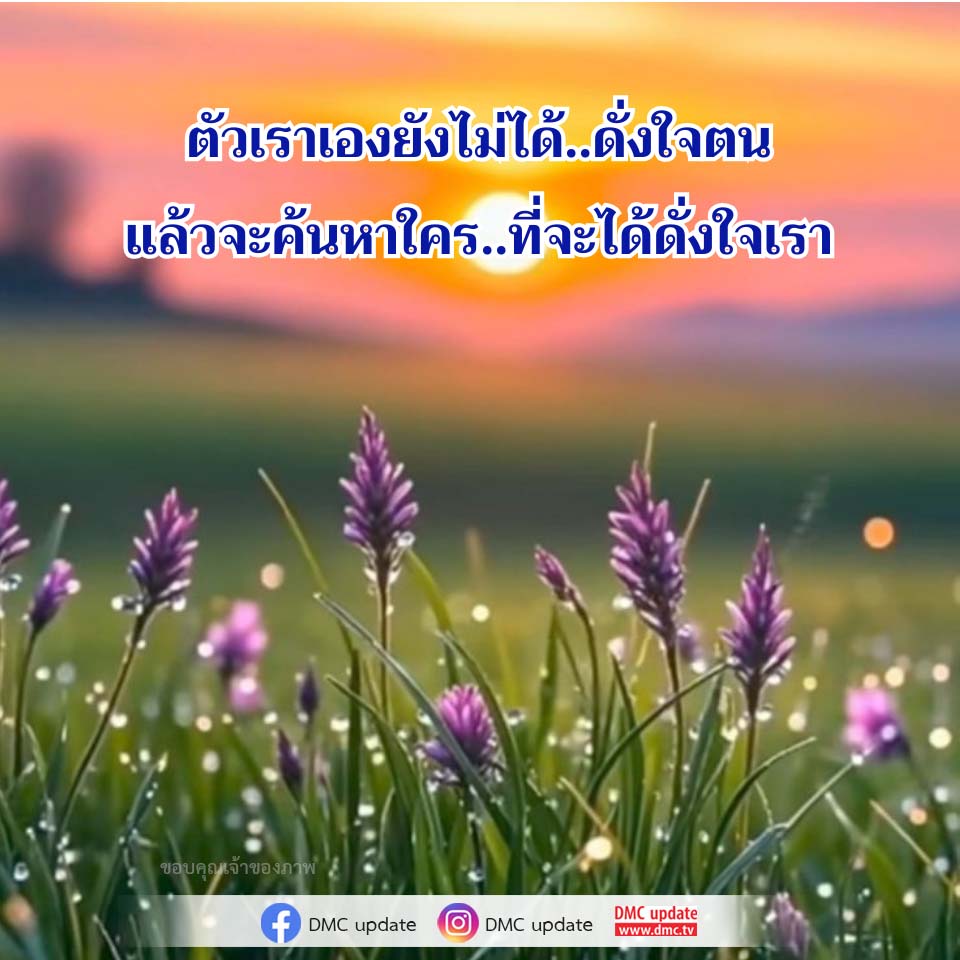 ค้นหาความสุขในตัวเอง | DMC Update
