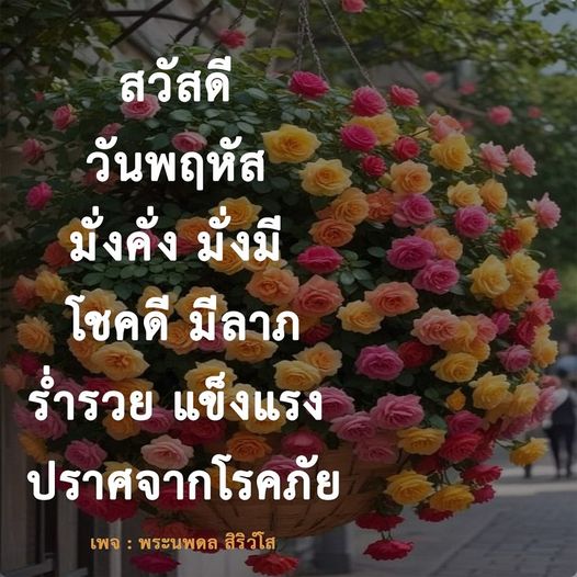 การ์ด No.8785:ภาพสวัสดียามเช้า