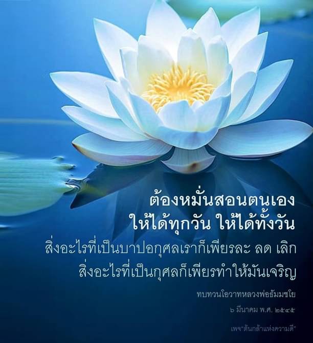 ค้นพบวิธีการสอนตนเองให้ดีขึ้นทุกวัน พร้อมแนวทางการลดละบาปอกุศลและเพิ่มพูนกุศลจากโอวาทของหลวงพ่อธัมมชโย ในเพจ 'นกล้าแห่งความดี' เพื่อสร้างแรงบันดาลใจในการดำเนินชีวิตที่ดีขึ้น