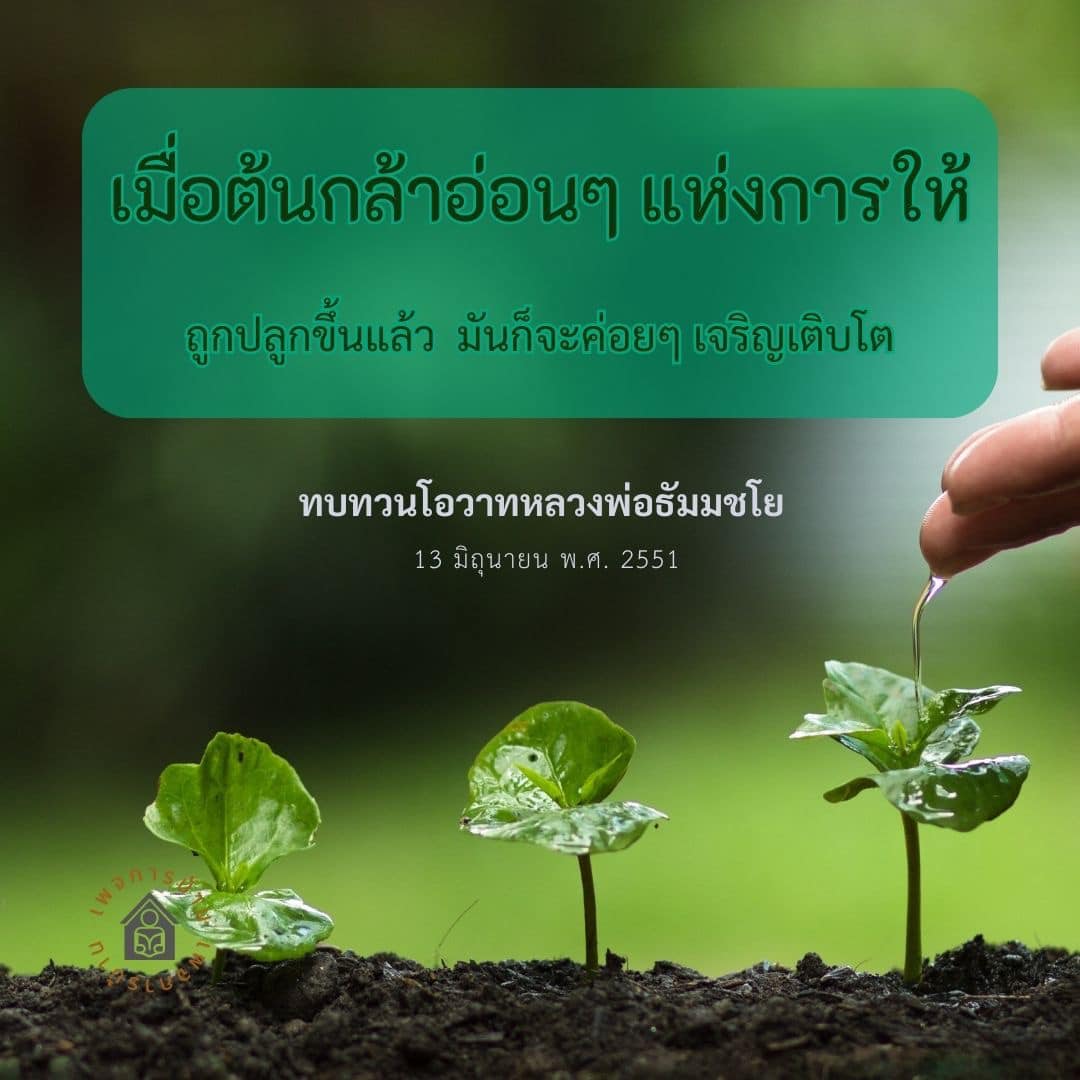 ค้นพบความหมายของการให้ผ่านการเจริญเติบโตของต้นกล้าอ่อนๆ ในโอวาทของหลวงพ่อธัมมชโย ที่จะช่วยเสริมสร้างจิตใจและแนวทางในการใช้ชีวิตให้มีคุณค่า