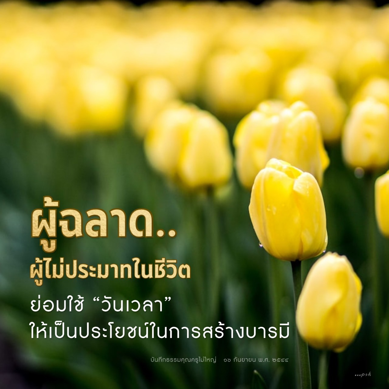 ใช้วันเวลาให้เป็นประโยชน์ในการสร้างบารมี