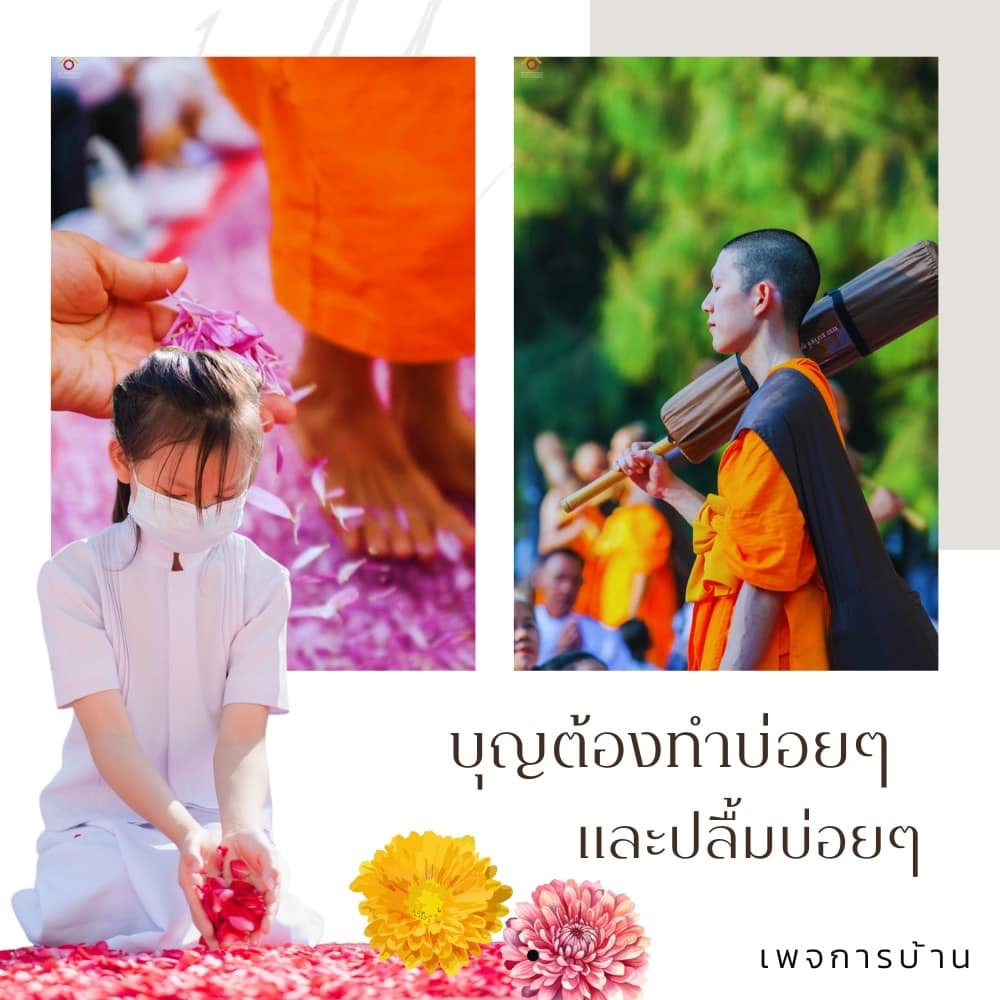 การ์ด No.12858:ทั่วไป