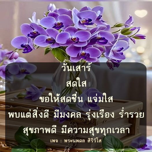 การ์ด No.9027:ภาพสวัสดียามเช้า