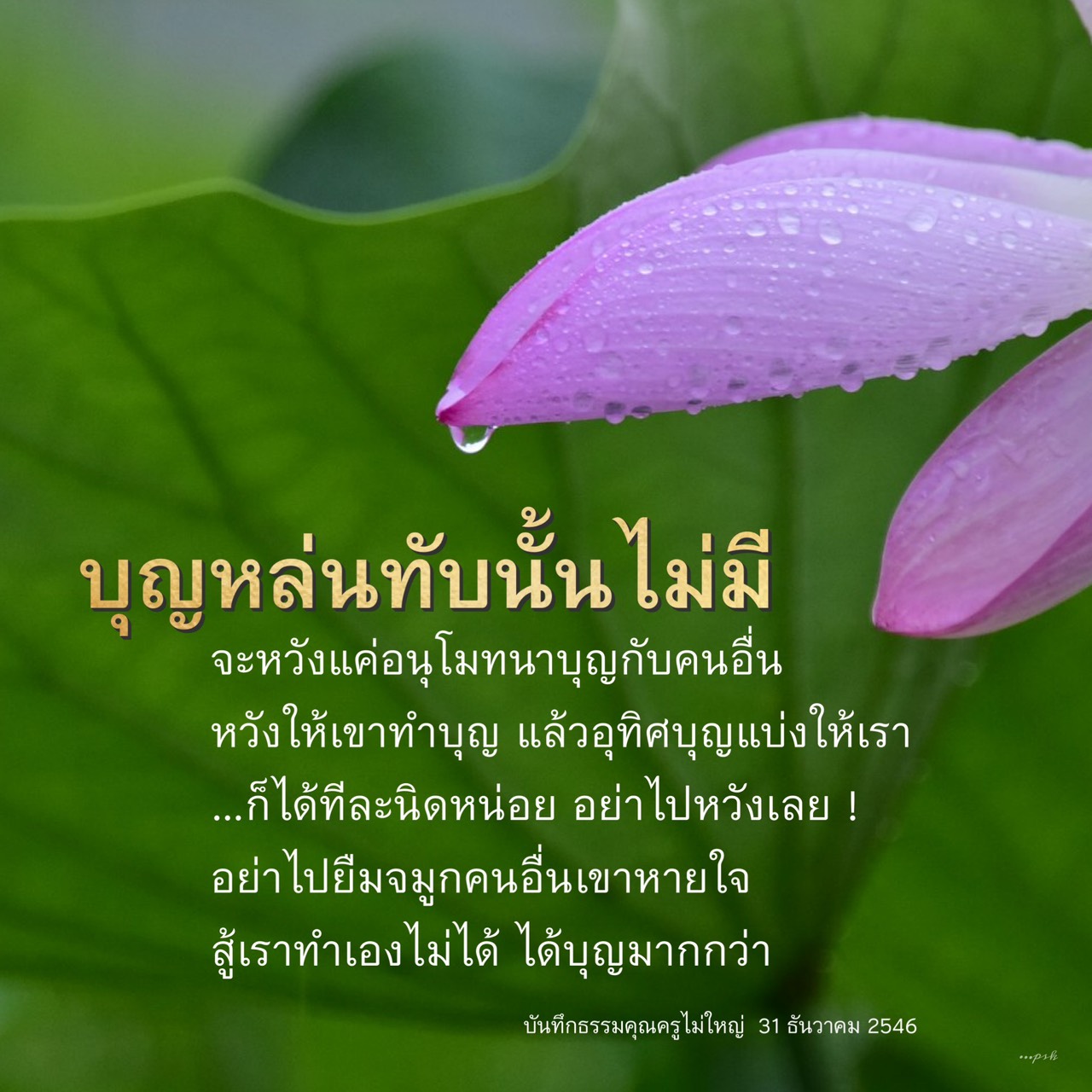 บุญหล่นทับ: การสร้างบุญด้วยตนเอง