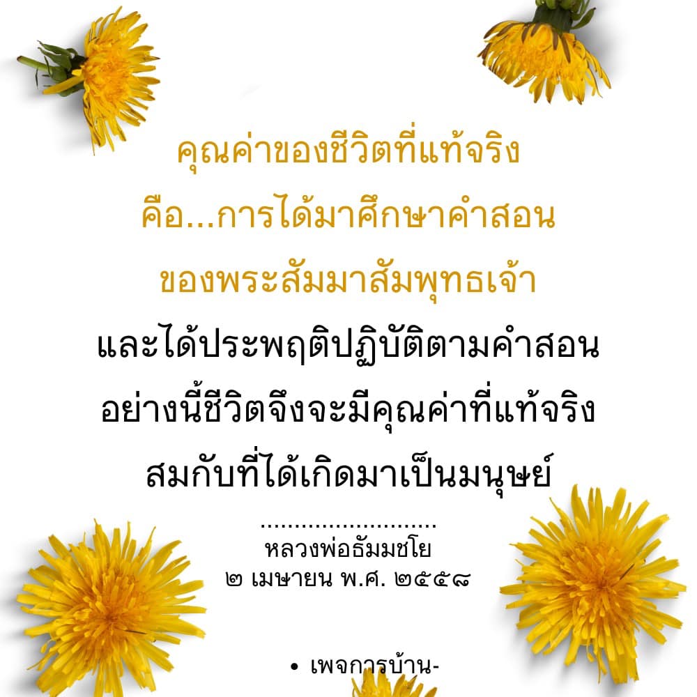 ค้นพบคุณค่าที่แท้จริงของชีวิตผ่านการศึกษาคำสอนของพระสัมมาสัมพุทธเจ้าและการปฏิบัติตามคำสอนเหล่านั้น เพื่อสร้างชีวิตที่มีคุณค่าและสมบูรณ์แบบตามแนวทางของหลวงพ่อธัมมชโย.