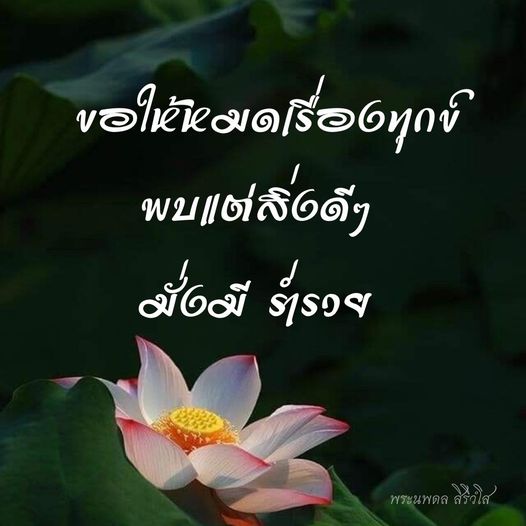 การ์ด No.9533:พระนพดล สิริวํโส
