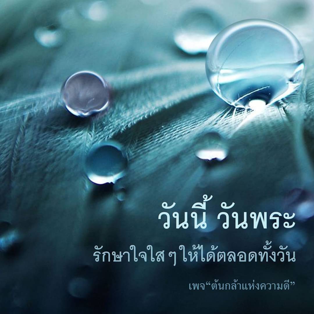 ภาพ No.6270:คำสอนหลวงพ่อธัมมชโย