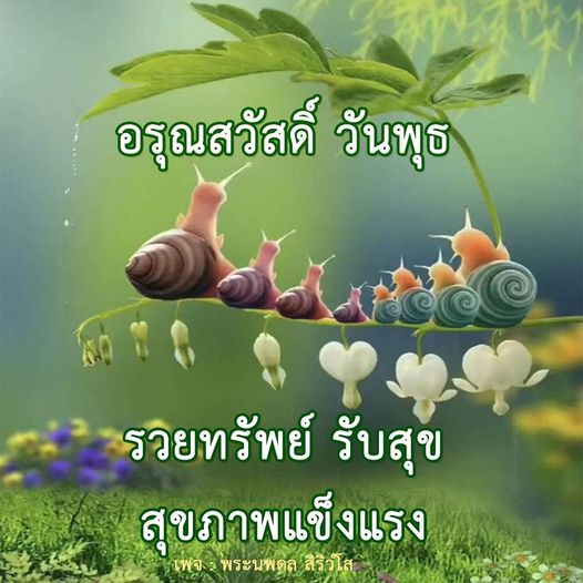 การ์ด No.9141:ภาพสวัสดียามเช้า
