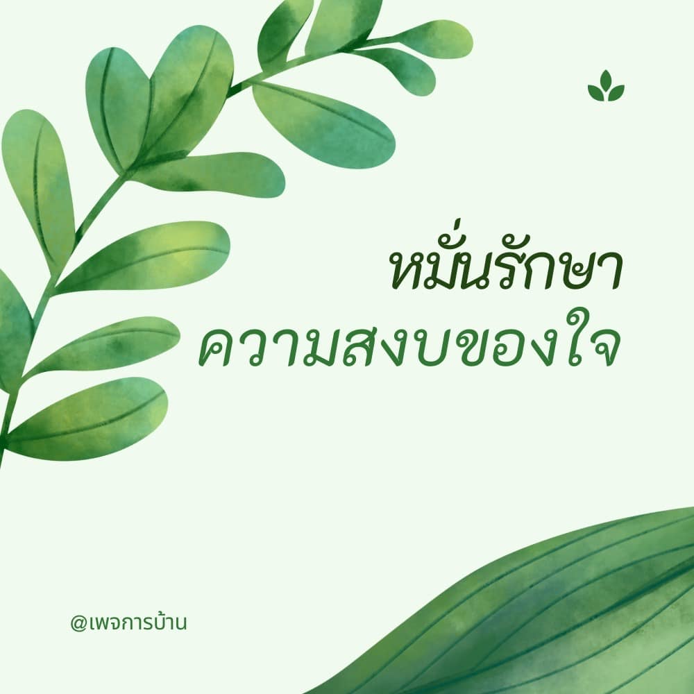 การ์ด No.11925:ทั่วไป