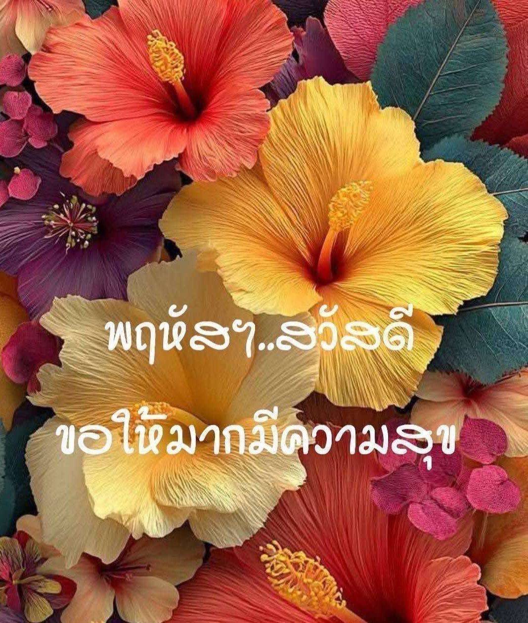 ภาพ No.16985:ทั่วไป