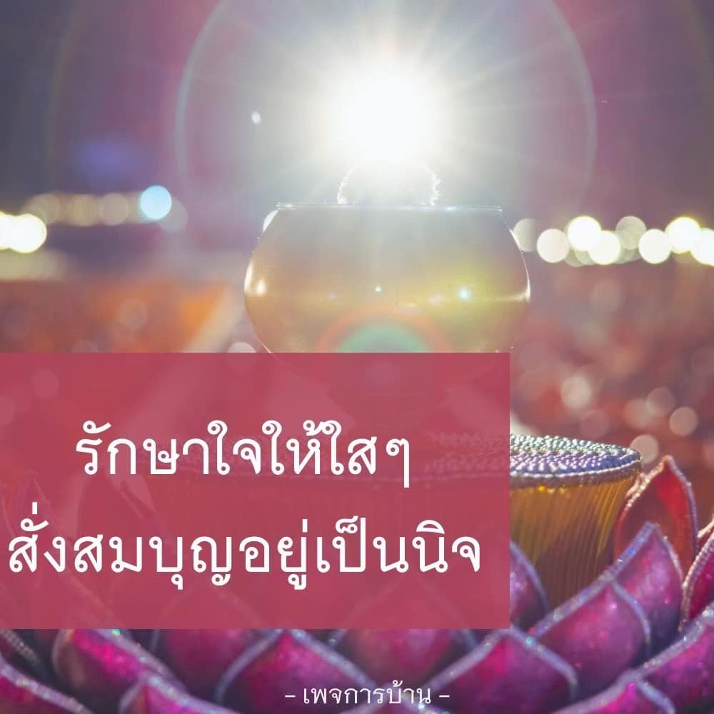 ภาพ No.17006:undefined