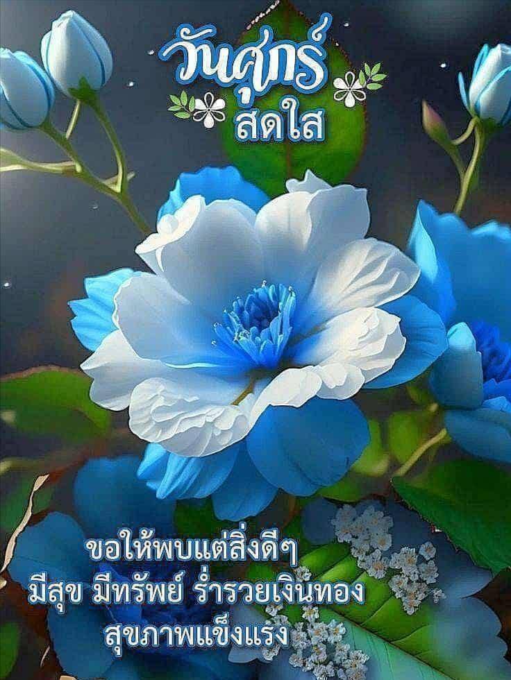 ภาพ No.17422:ทั่วไป