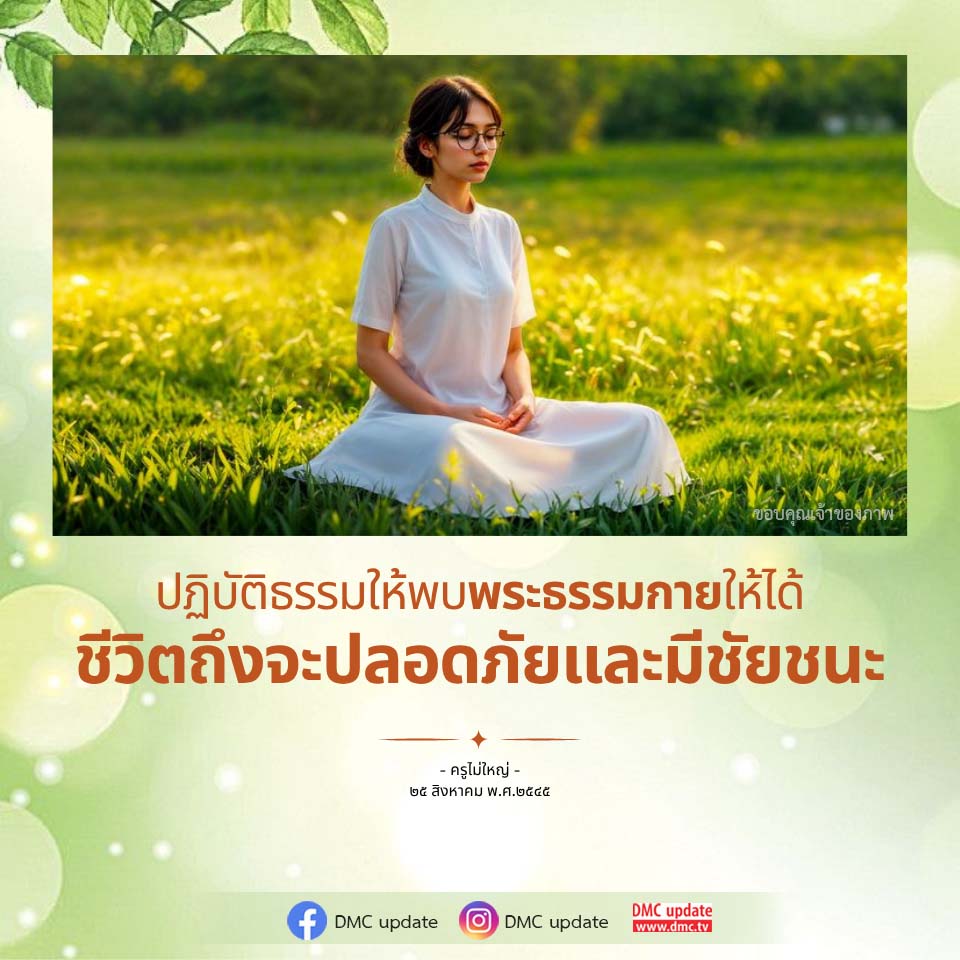 ภาพ No.16491:ทั่วไป