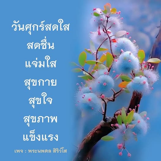 การ์ด No.13152:ภาพสวัสดียามเช้า
