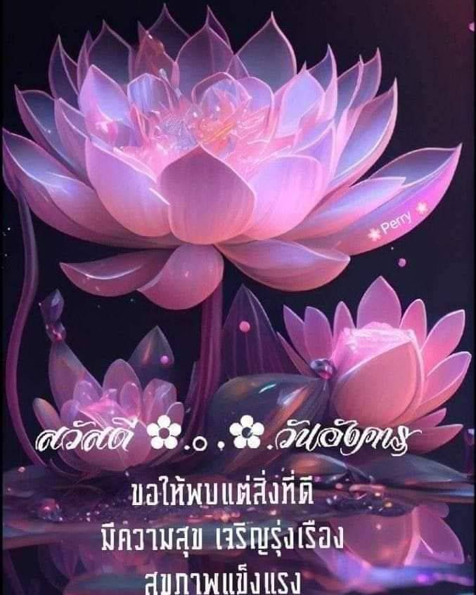  อีการ์ดภาพสวัสดียามเช้าส่งมอบเพื่อเป็นการทักทายให้กำลังใจเพื่อมิตรภาพในเช้าวันใหม่ของทุกๆ วัน