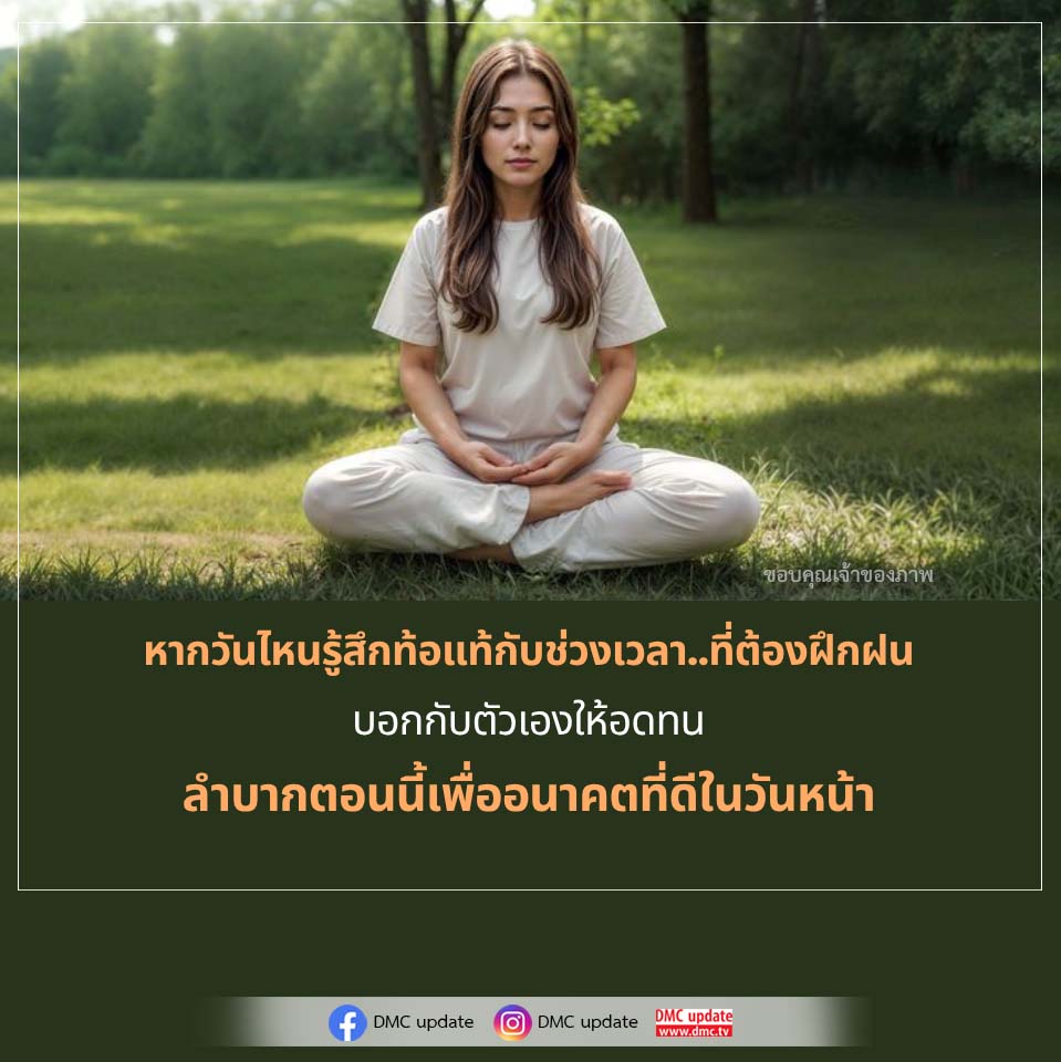 ภาพ No.16589:ทั่วไป