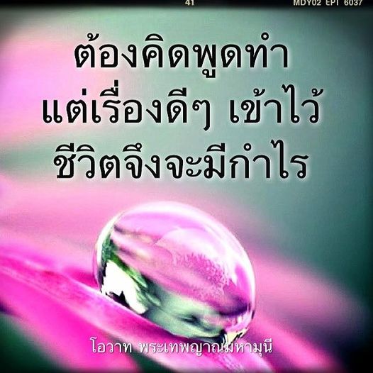 การ์ด No.10198:คำสอนหลวงพ่อธัมมชโย