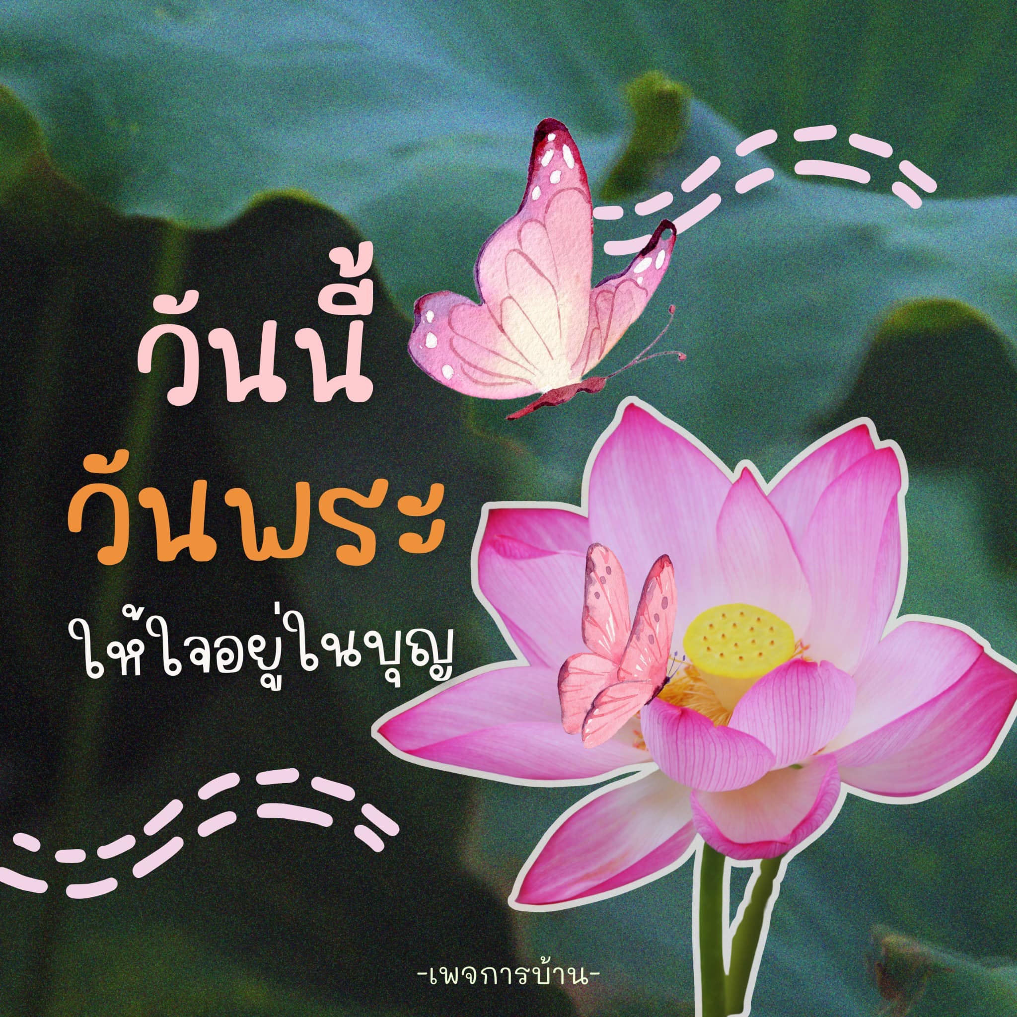 ภาพ No.16665:ทั่วไป