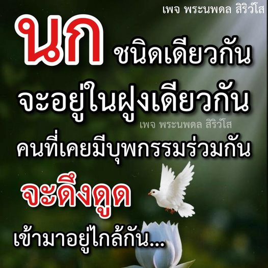 เพจพระนพดล สิริวํโส เสนอแนวคิดเกี่ยวกับความสัมพันธ์ระหว่างบุคคลและสัตว์ในธรรมชาติ ที่แสดงให้เห็นถึงการอยู่ร่วมกันของคนที่มีบุพกรรมร่วมกันและนกที่ชนิดเดียวกันในฝูงเดียวกัน
