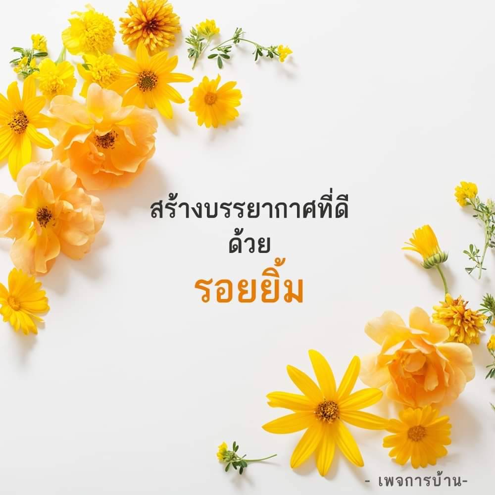 อีการ์ดสวยงาม ให้ข้อคิด ให้กำลังใจ สร้างสรรค์