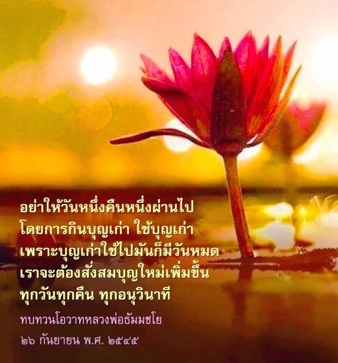 เรียนรู้เกี่ยวกับการสั่งสมบุญใหม่จากคำสอนของหลวงพ่อธัมมชโย เพื่อไม่ให้ใช้บุญเก่าไปโดยเปล่าประโยชน์ และเพื่อเสริมสร้างบุญในชีวิตประจำวันอย่างมีคุณค่า
