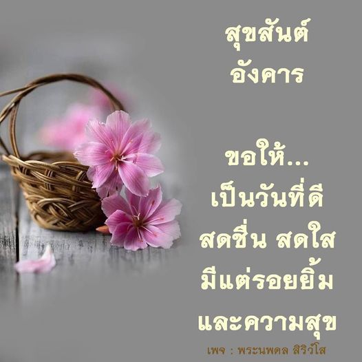 การ์ด No.9093:ภาพสวัสดียามเช้า