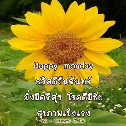 การ์ด No.11060:ภาพสวัสดียามเช้า