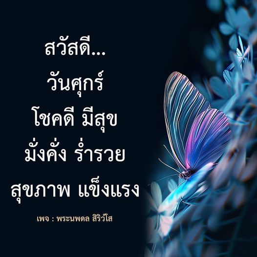 การ์ด No.9880:ภาพสวัสดียามเช้า