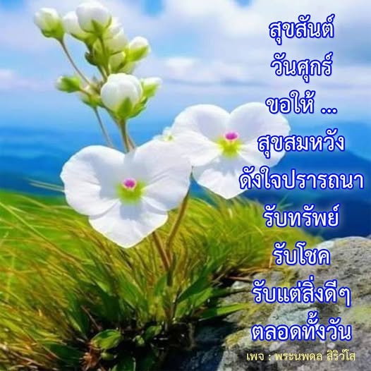 สุขสันต์วันศุกร์! ขอให้ทุกคนได้รับทรัพย์และโชคดีตลอดทั้งวัน พร้อมทั้งสิ่งดีๆ ที่เข้ามาในชีวิต ติดตามเพจพระนพดล สิริวํโส เพื่อแรงบันดาลใจและความสุขในทุกวัน