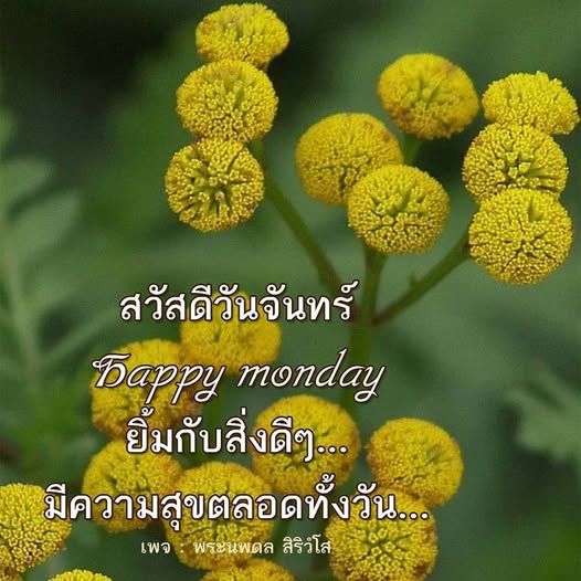 การ์ด No.14227:ภาพสวัสดียามเช้า