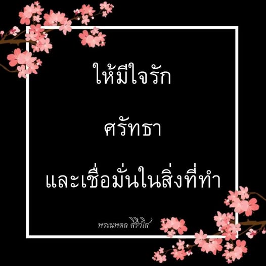 การ์ด No.14577:พระนพดล สิริวํโส