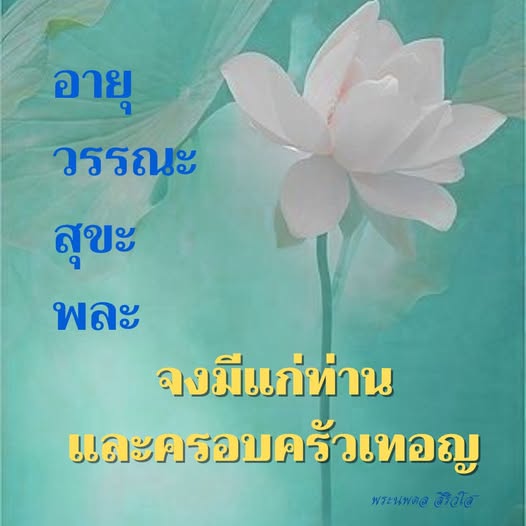 การ์ด No.11466:พระนพดล สิริวํโส