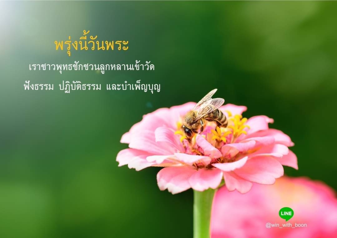 อีการ์ดวันนี้วันพระ พรุ่งนี้วันพระ วันพระรักษาศีล เข้าวัดปฏิบัติธรรม ศึกษาธรรมะ