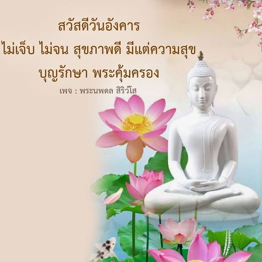 การ์ด No.11860:ภาพสวัสดียามเช้า