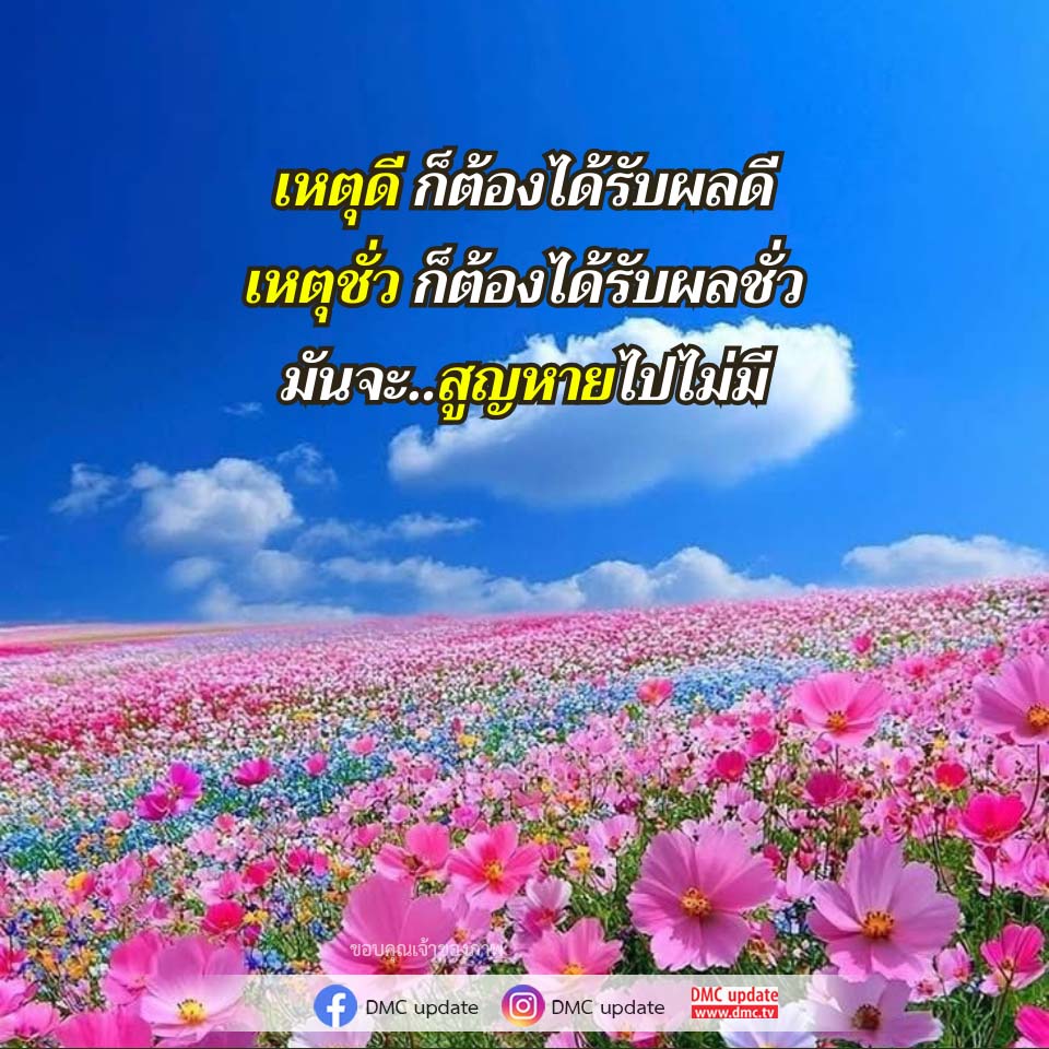 ภาพ No.16739:ทั่วไป