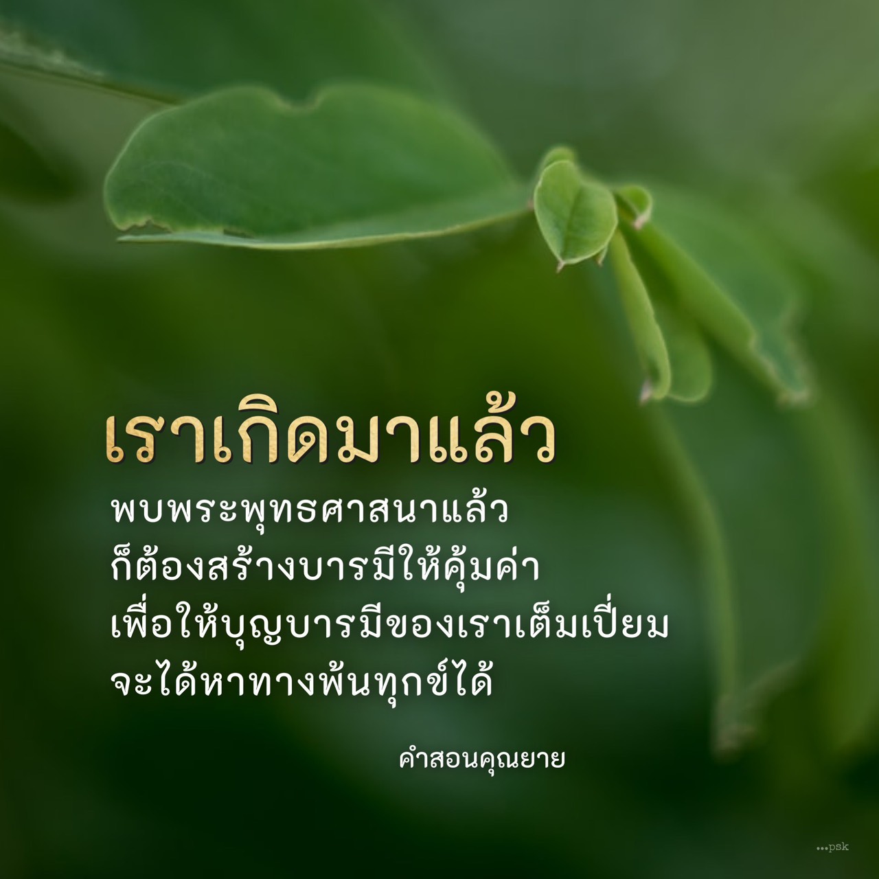สร้างบารมีตามคำสอนของคุณยายเพื่อการพ้นทุกข์