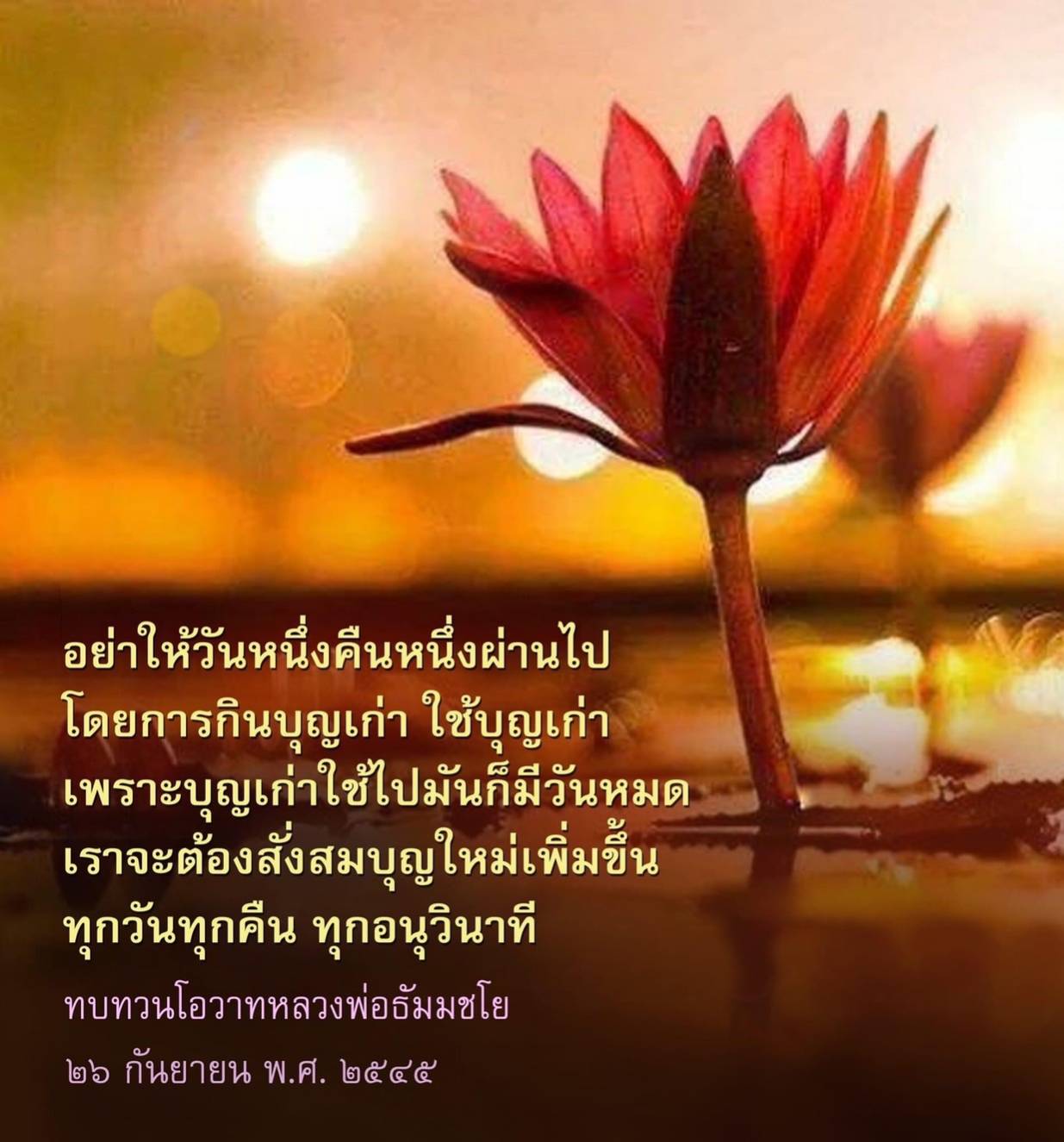 เรียนรู้วิธีการสั่งสมบุญใหม่ทุกวัน เพื่อไม่ให้วันคืนผ่านไปโดยการใช้บุญเก่า มาร่วมทบทวนโอวาทจากหลวงพ่อธัมมชโย และพัฒนาจิตใจให้เจริญรุ่งเรืองในทุกอนุวินาที