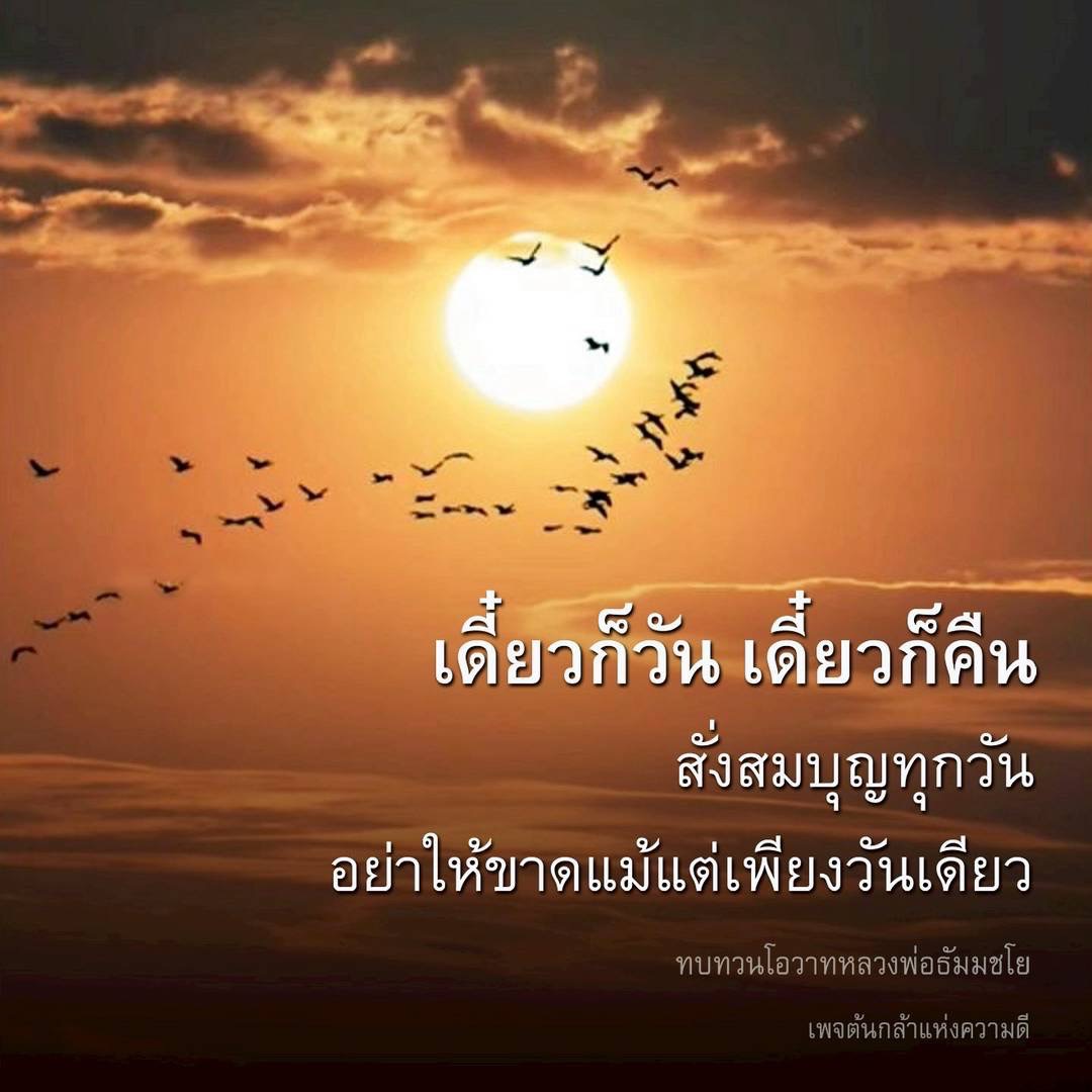 ร่วมสั่งสมบุญทุกวันกับคำสอนจากหลวงพ่อธัมมชโย เพื่อไม่ให้ขาดแม้แต่วันเดียว ทบทวนโอวาทและแนวทางการทำความดีในเพจต้นกล้าแห่งความดี