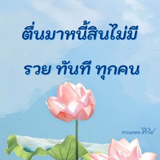 การ์ด No.9028:พระนพดล สิริวํโส