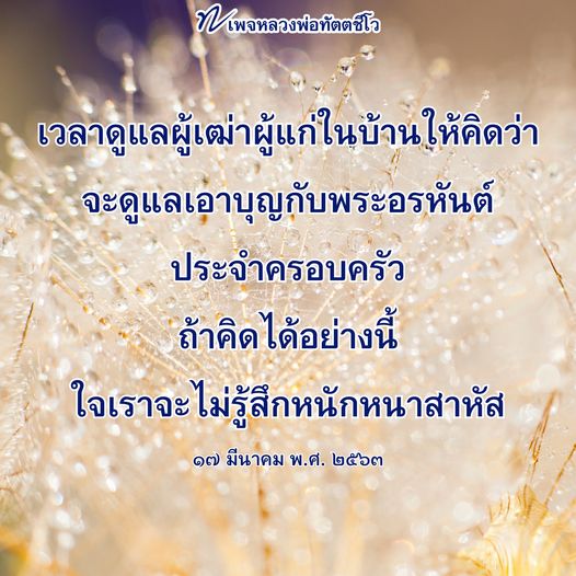 เรียนรู้วิธีการดูแลผู้เฒ่าผู้แก่ในบ้านอย่างมีความสุข ด้วยแนวคิดจากหลวงพ่อทัตตชิโอ ที่ช่วยให้ใจเราสบายและเต็มไปด้วยบุญในการดูแลคนที่เรารัก