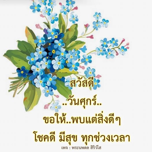 การ์ด No.14185:ภาพสวัสดียามเช้า