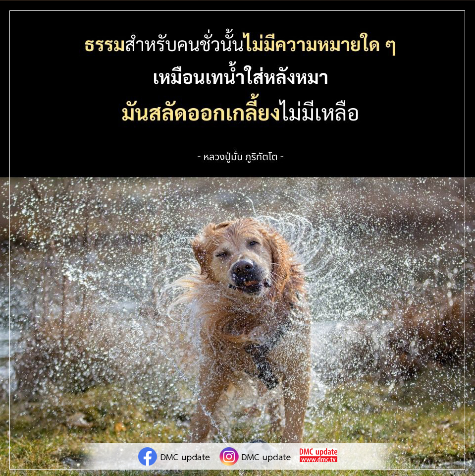 ค้นพบความหมายของธรรมสำหรับคนชั่วผ่านคำสอนจากหลวงปู่มั่น ภูริทัตโต ที่เปรียบเทียบธรรมกับการเทน้ำใส่หลังหมา เพื่อเข้าใจถึงความสำคัญและความหมายของธรรมในชีวิต.