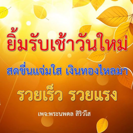 การ์ด No.8852:ภาพสวัสดียามเช้า