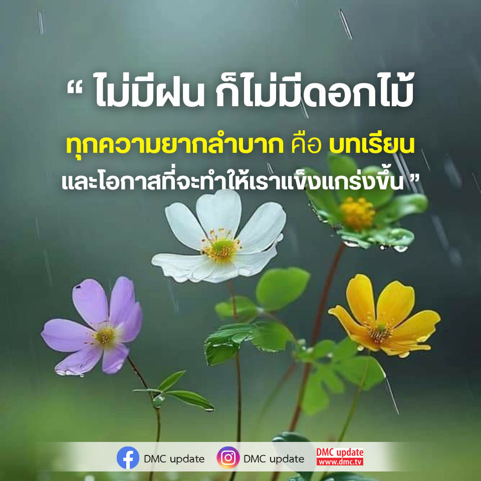 ค้นพบความหมายของชีวิตผ่านบทเรียนจากความยากลำบาก และเรียนรู้ว่าโอกาสในการเติบโตเกิดขึ้นได้จากทุกสถานการณ์ที่เราเผชิญ พร้อมอัปเดตข่าวสารจาก DMC ที่จะช่วยให้คุณเข้าใจชีวิตมากยิ่งขึ้น