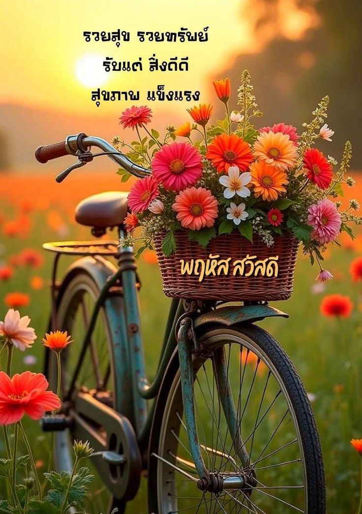 ภาพ No.16550:undefined