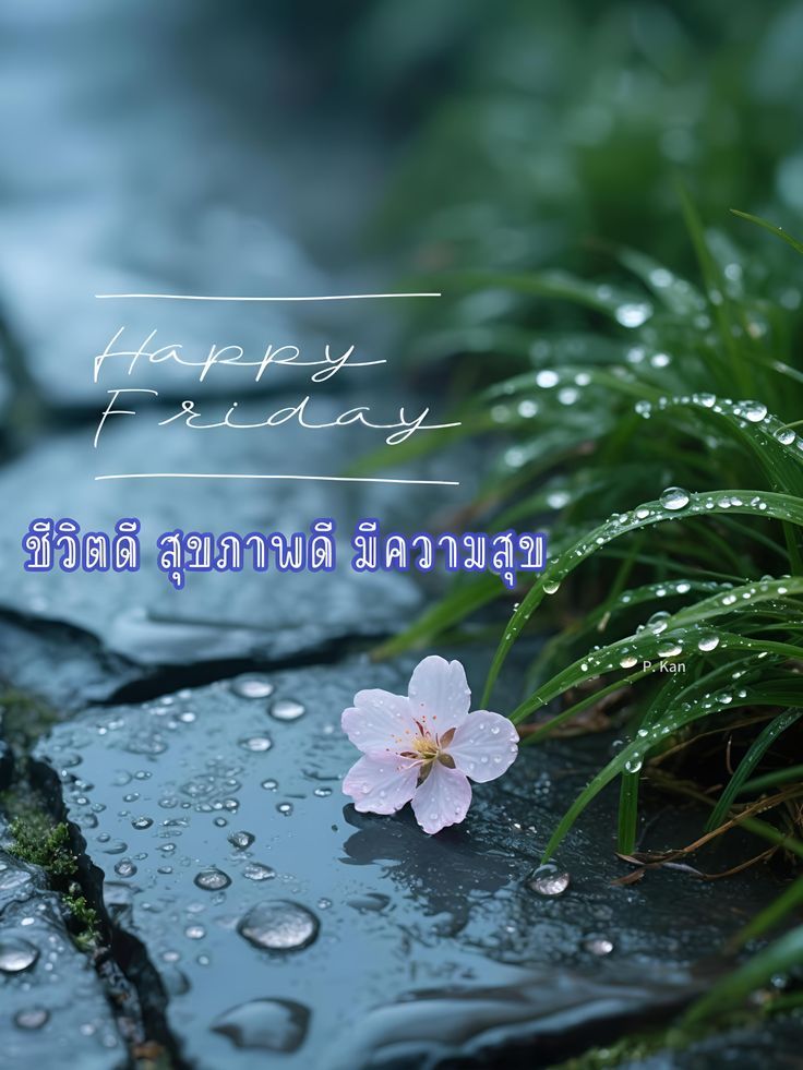 ภาพ No.16153:ภาพสวัสดียามเช้า